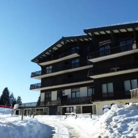 Grizzly 4p I Domek alpejski Les Gets