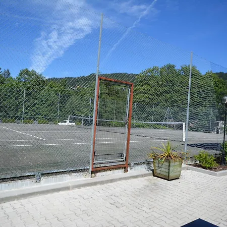 Domek alpejski Grizzly 4p I Les Gets